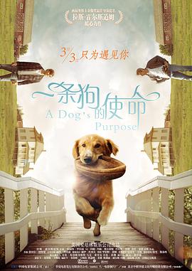 另类中文