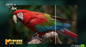 中文字幕永久字幕永久在线